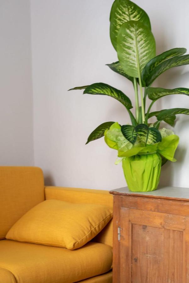San Zanobi Family Suite In Florence Luaran gambar